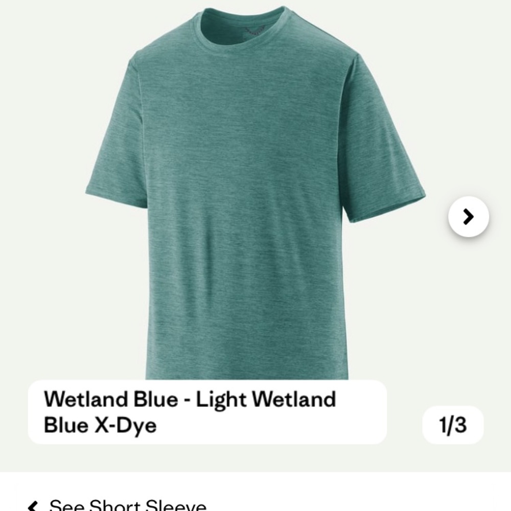 Patagonia capilene cool daily T-shirt